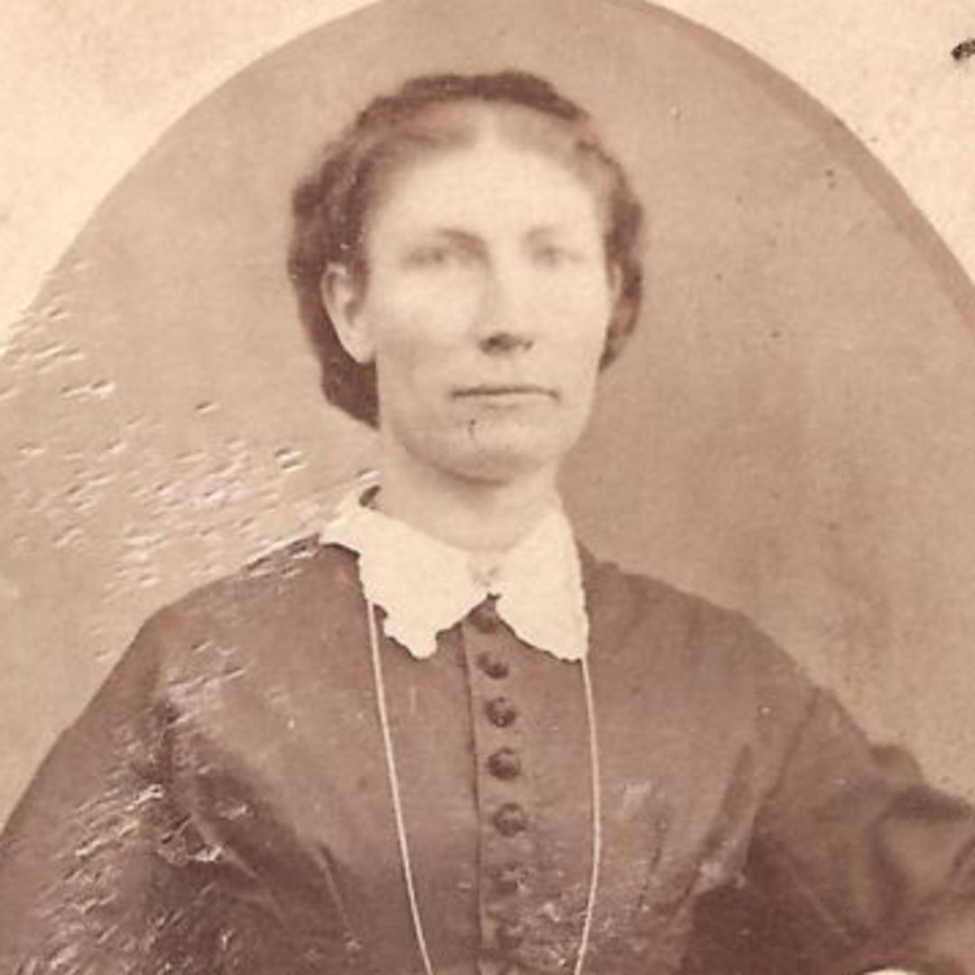 Virginia Lovina Newman (1839 - 1891) Profile
